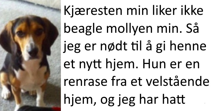 Kjæresten gir han et dilemma: Meg eller hunden. Svaret? Genialt!