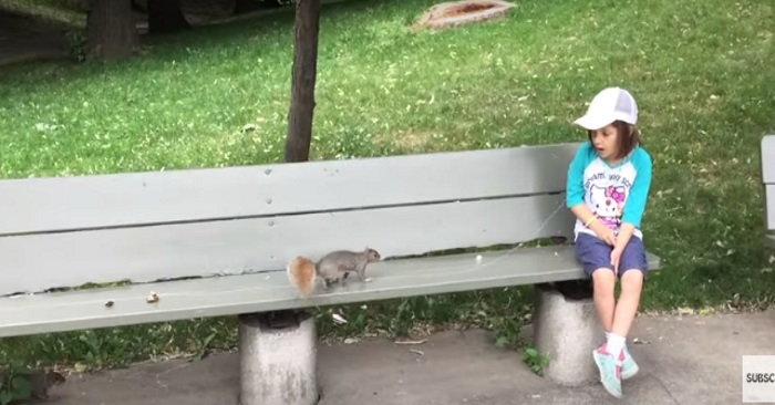 Ekornet klatrer opp på benken ved siden av jenta. Sekunder senere skjønner vi hvorfor pappaen filmer!