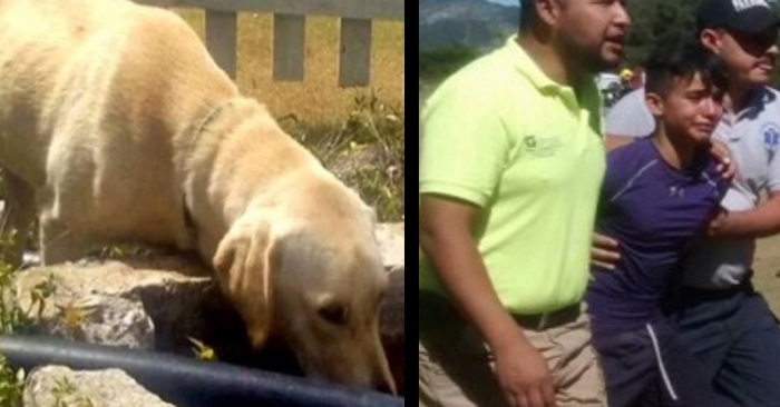 Når 14-åringen faller ned i fjellkløfta, hopper labradoren etter. 44 timer senere finner politiet DETTE!