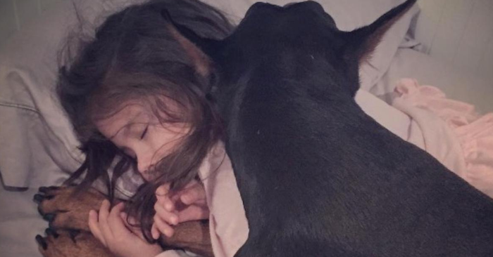 Dobermannen legger seg for å sove med 5-åringen. Disse bildene har sjarmert internett!
