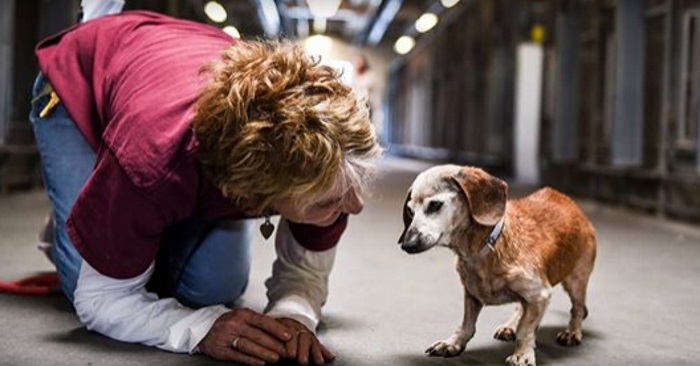 Hunden vet ikke hvem hun har foran seg. I det neste øyeblikket KASTER hun seg i kvinnens armer!