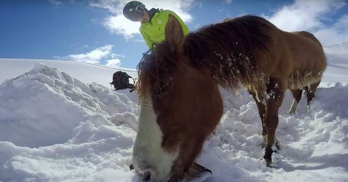 Han er sjokkert over å ha funnet en hest begravd i snøen. Men han vet at det er INGEN tid å miste!