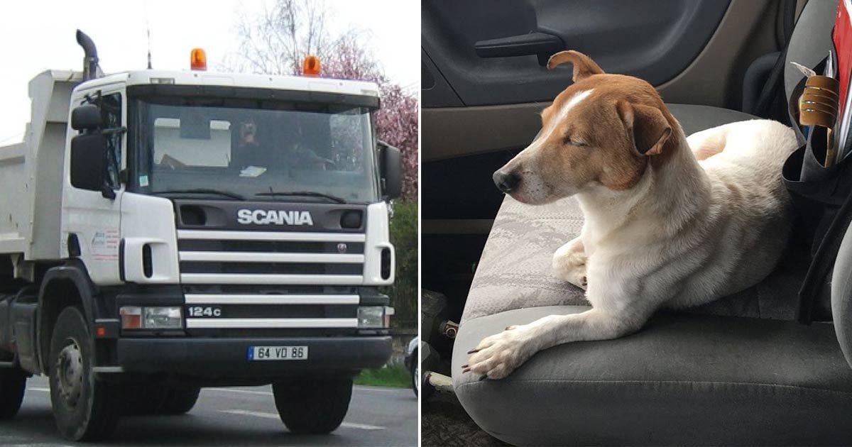 Denne godhjertede hunden viser hva våre pelskledde venner er i stand til. Fantastisk!