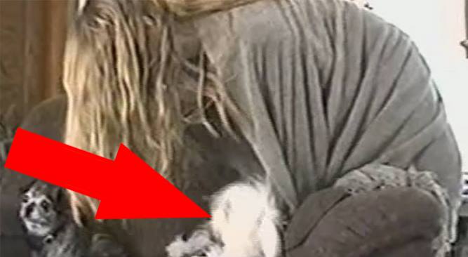 Hun klapper hunden sin med et pledd. Når hun fjerner det, kan jeg ikke slutte å le!