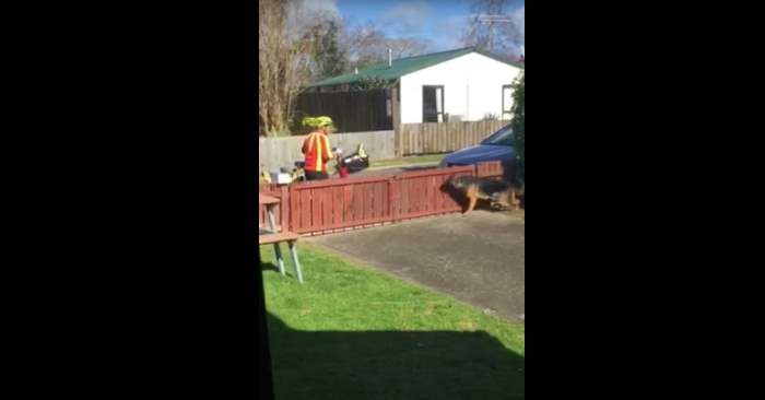 Postmannen nærmer seg den «farligste» hunden i nabolaget. Men han aner ikke at han blir filmet!