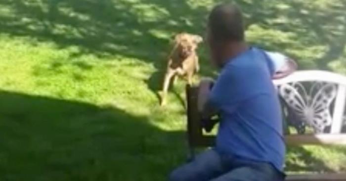 Hunden bjeffer på mannen i hagen. Men på 0:38 gjenkjenner han lukten. FOR en gjenforening!