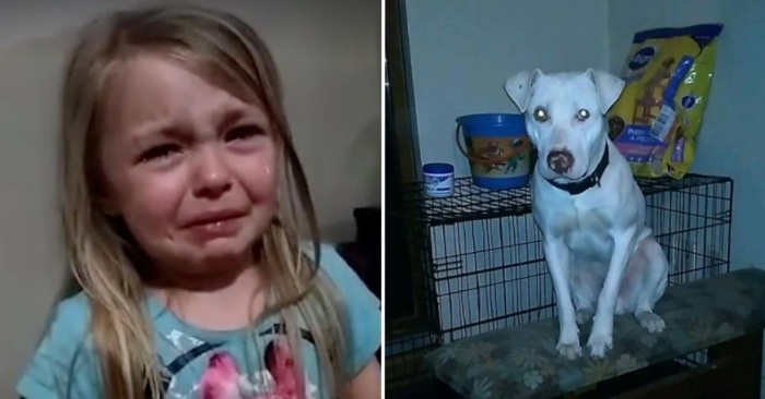 Familiens hund har forsvunnet og sorgen er stor. Men barnas reaksjon når de finner ham? Uvurderlig!