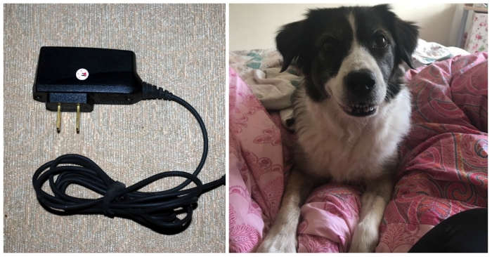 Jenta ber mammaen sin om å hente telefonladeren til henne. Da roper hun på hunden istedet!