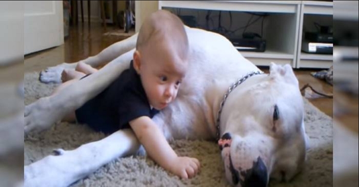 En hund på 60 kilo sitter sammen med en baby. Det som skjer kommer til å smelte hjertet ditt!