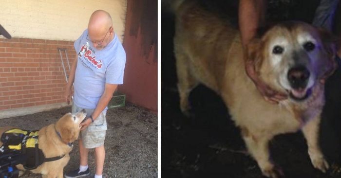 Hunden drar hysterisk i eierens arm. Sekunder senere innser han hvorfor, og kaster seg ut av huset!