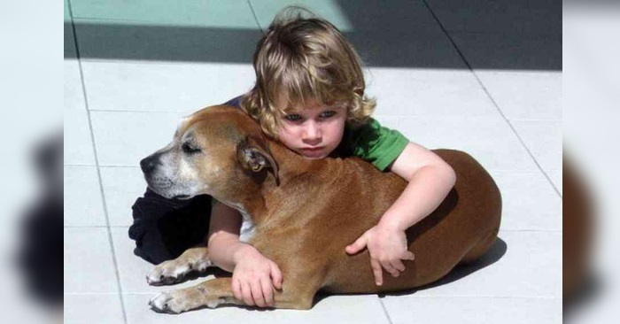 Den kreftsyke hunden skulle avlives. Men guttens siste ord til sin beste venn rører hele verden til tårer!