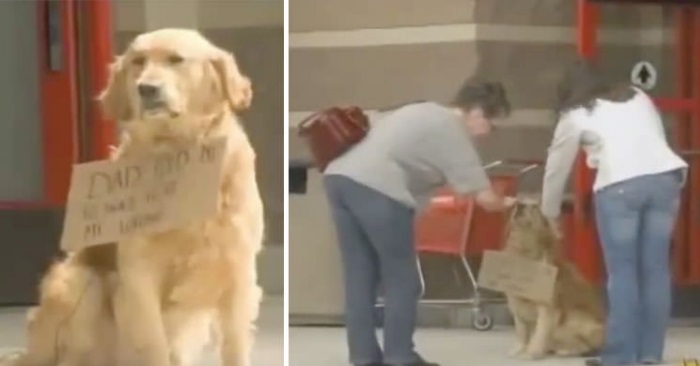 Hunden sitter alene utenfor butikken. Da ser folk nærmere på lappen rundt halsen, og leser 9 ord!