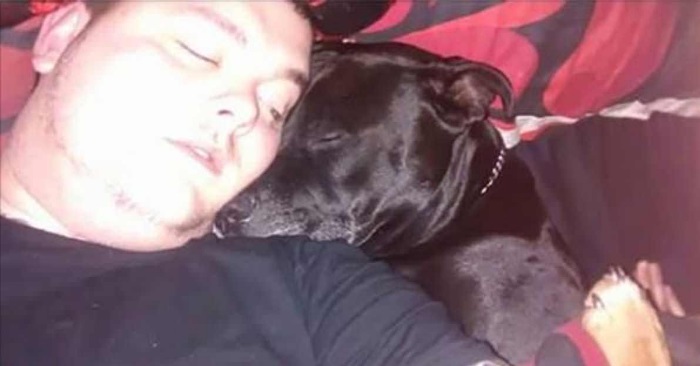 Hunden ser eieren henge et tau i taket. Da innser han alvoret og handler umiddelbart!