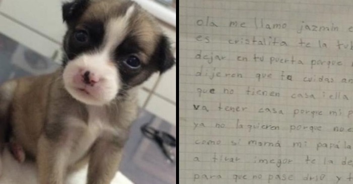 Hun hadde ikke noe valg. Den 7 år gamle jenta måtte forlate sin elskede hund!