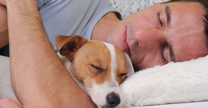 Deler du seng med hunden din? Disse 7 tingene skjer hvis du sover med din firbente venn!