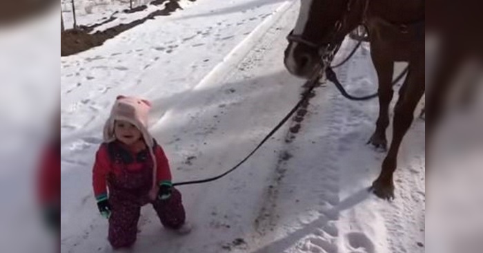 Den lille jenta setter seg fast i snøen. Det hesten gjør da får hjertet mitt til å smelte!