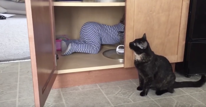 Katten blir lei av den lille babyen. Det han gjør da? Jeg ler så tårene triller!