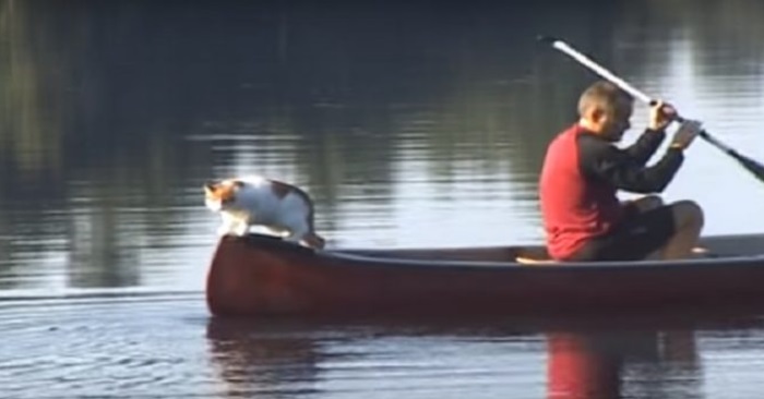 Mannen padler ut med kanoen. Men vent til du ser hvem han har med seg som passasjer!