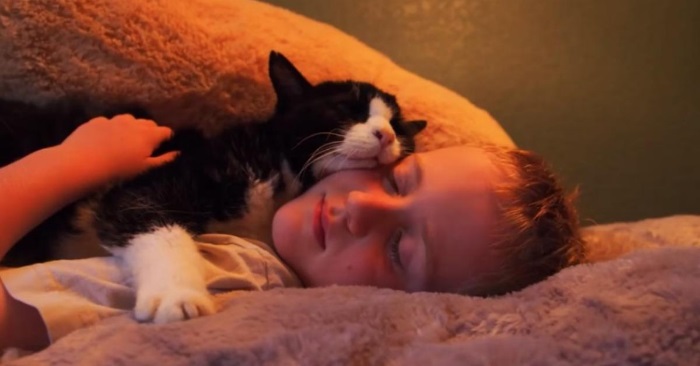 Familien adopterte den gamleste katten de fant. Og angret ikke et eneste sekund!