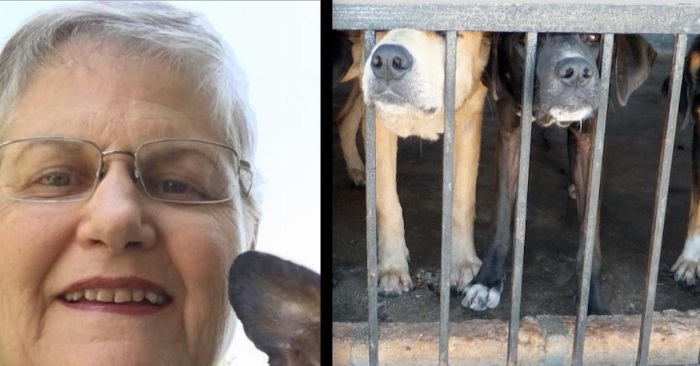 Den deprimerte bestemoren skal adoptere en hund. Da velger hun den ingen andre vil ha!