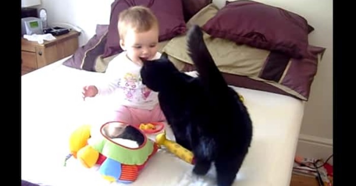 Mammaen lar katten hilse på babyen for første gang. Se det rørende møtet her!