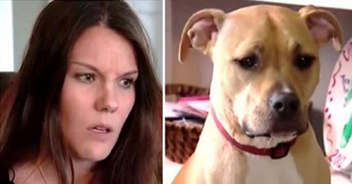 Mammaen våkner og ser at pitbullen oppfører seg rart. Så ser hun hva som har skjedd med sønnen!