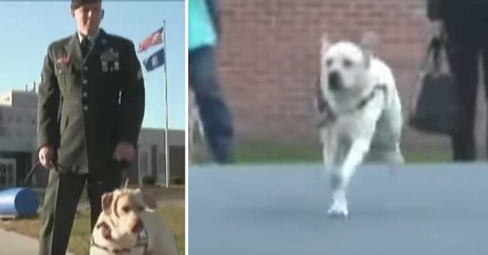 Mannen besøker fengselet med tjenestehunden sin. Da drar hunden plutselig kjensel på en av fangene!