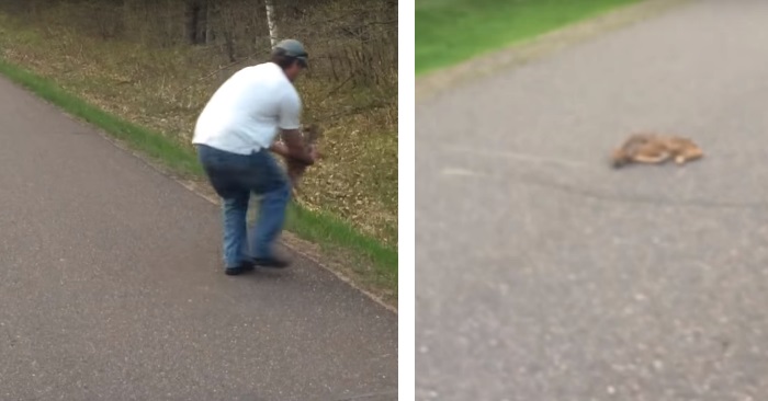 Bilisten bråbremser for noe som ligger midt i veien. Så tar han opp kameraet og filmer redningsaksjonen!