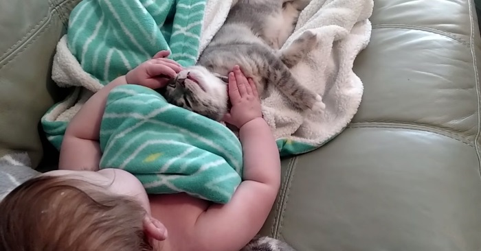 Katten og babyen ligger og sover sammen. Men se hva som skjer når de våkner!