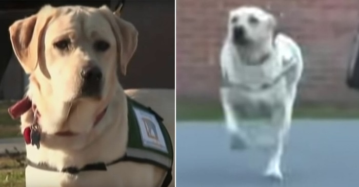 Eieren tar med seg hunden til et fengsel. Da drar hunden plutselig kjensel på en av fangene!
