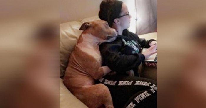 Den hjemløse pitbullen var livredd for mennesker. Men se nå når han blir adoptert av denne kvinnen!
