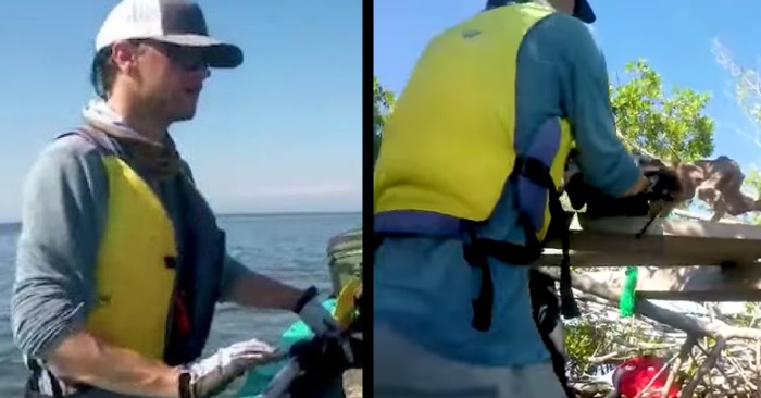 Turisten ser en logrende hale på en øde øy. Så padler han nærmere, og får sjokk av synet som møter ham!