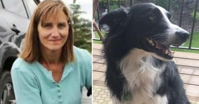 Kvinnen sier opp jobben for å lete etter hunden sin. 2 måneder senere ser hun noe røre seg i busken!